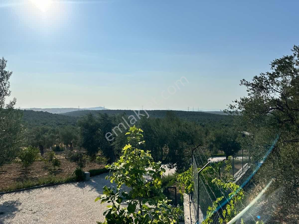 Satılık Komple Çıftlık Genış Ve Yenı Bına, Vılla , Tıny House Ve Meyve Ağaçlı, Otel Ve Turızm Uygun - Görsel 33