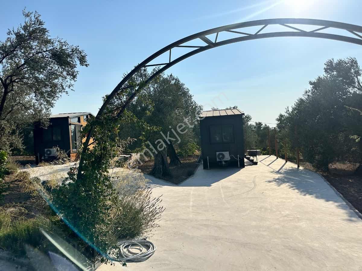 Satılık Komple Çıftlık Genış Ve Yenı Bına, Vılla , Tıny House Ve Meyve Ağaçlı, Otel Ve Turızm Uygun - Görsel 27
