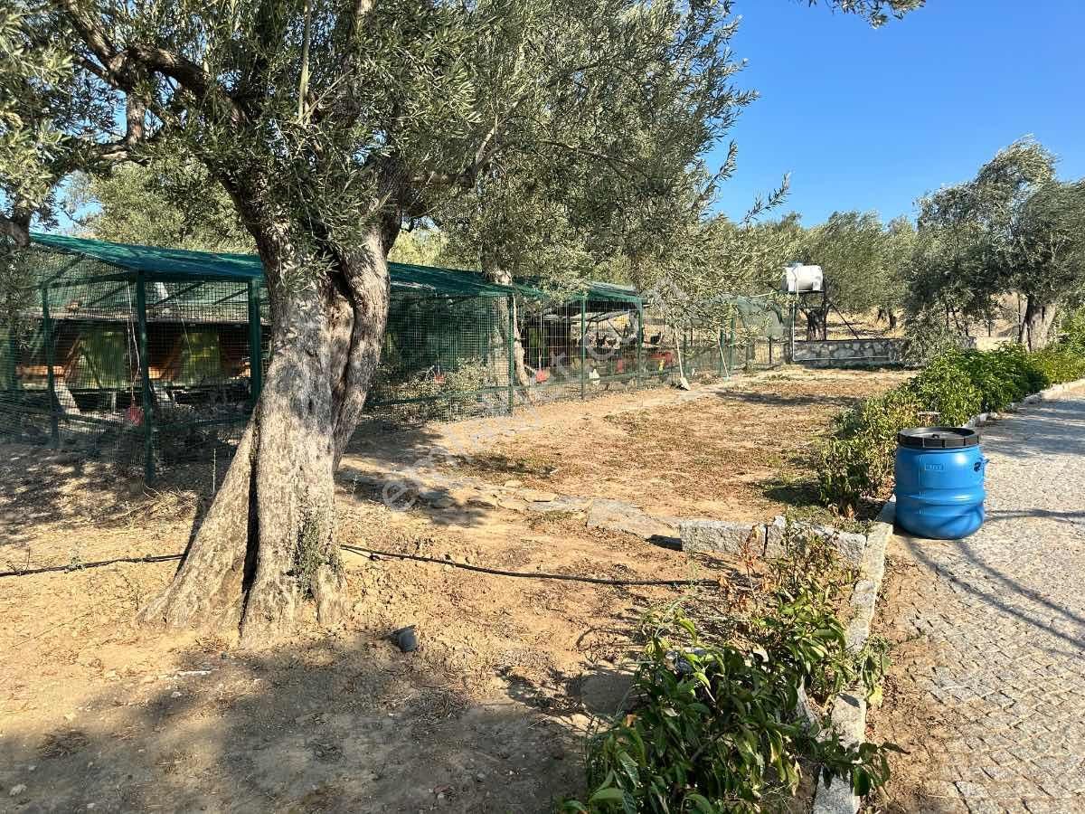 Satılık Komple Çıftlık Genış Ve Yenı Bına, Vılla , Tıny House Ve Meyve Ağaçlı, Otel Ve Turızm Uygun - Görsel 25