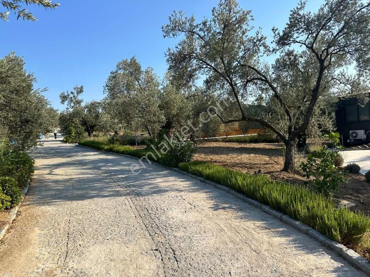 Satılık Komple Çıftlık Genış Ve Yenı Bına, Vılla , Tıny House Ve Meyve Ağaçlı, Otel Ve Turızm Uygun - Görsel 26