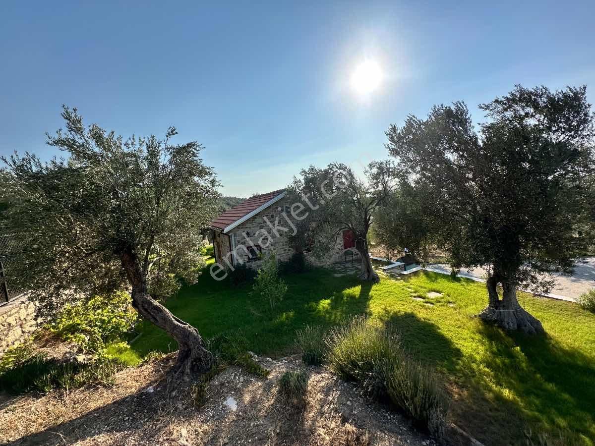 Satılık Komple Çıftlık Genış Ve Yenı Bına, Vılla , Tıny House Ve Meyve Ağaçlı, Otel Ve Turızm Uygun - Görsel 2