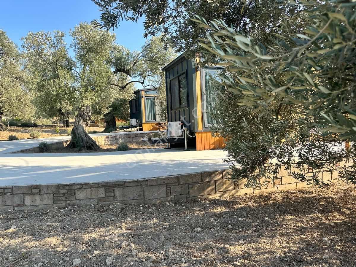 Satılık Komple Çıftlık Genış Ve Yenı Bına, Vılla , Tıny House Ve Meyve Ağaçlı, Otel Ve Turızm Uygun - Görsel 30