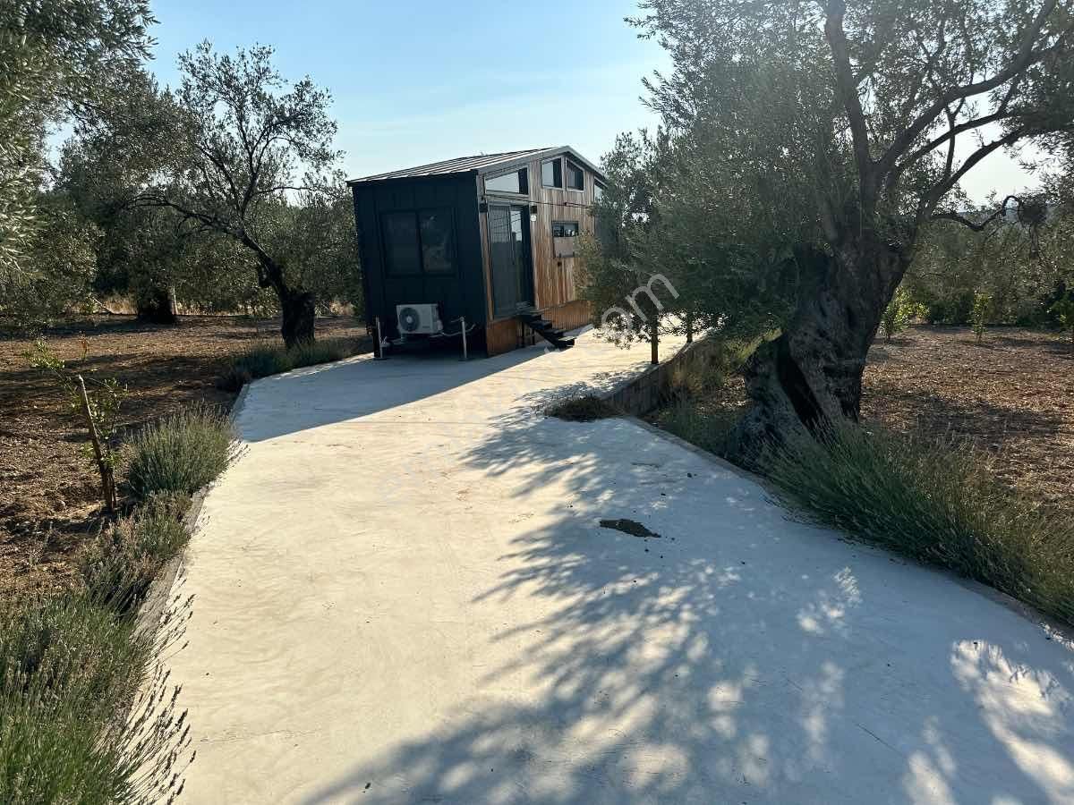 Satılık Komple Çıftlık Genış Ve Yenı Bına, Vılla , Tıny House Ve Meyve Ağaçlı, Otel Ve Turızm Uygun - Görsel 21