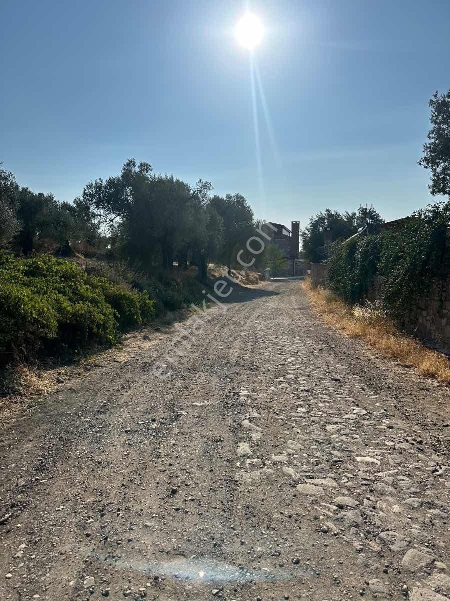 Satılık Komple Çıftlık Genış Ve Yenı Bına, Vılla , Tıny House Ve Meyve Ağaçlı, Otel Ve Turızm Uygun - Görsel 20