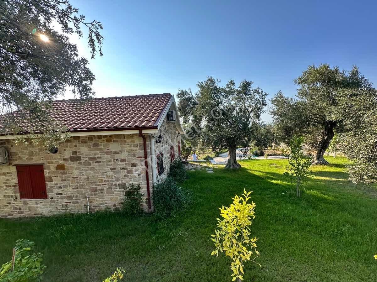 Satılık Komple Çıftlık Genış Ve Yenı Bına, Vılla , Tıny House Ve Meyve Ağaçlı, Otel Ve Turızm Uygun - Görsel 9