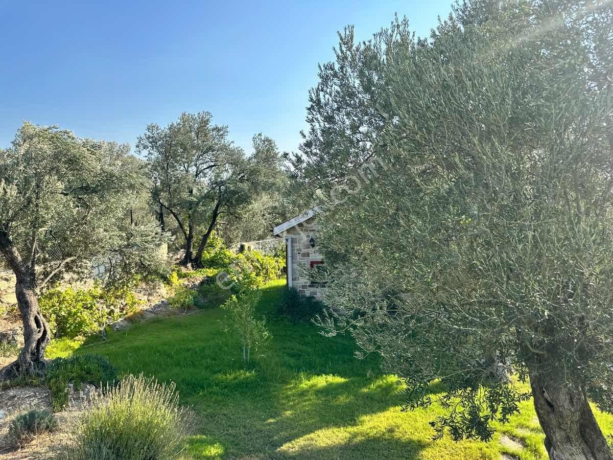 Satılık Komple Çıftlık Genış Ve Yenı Bına, Vılla , Tıny House Ve Meyve Ağaçlı, Otel Ve Turızm Uygun - Görsel 4