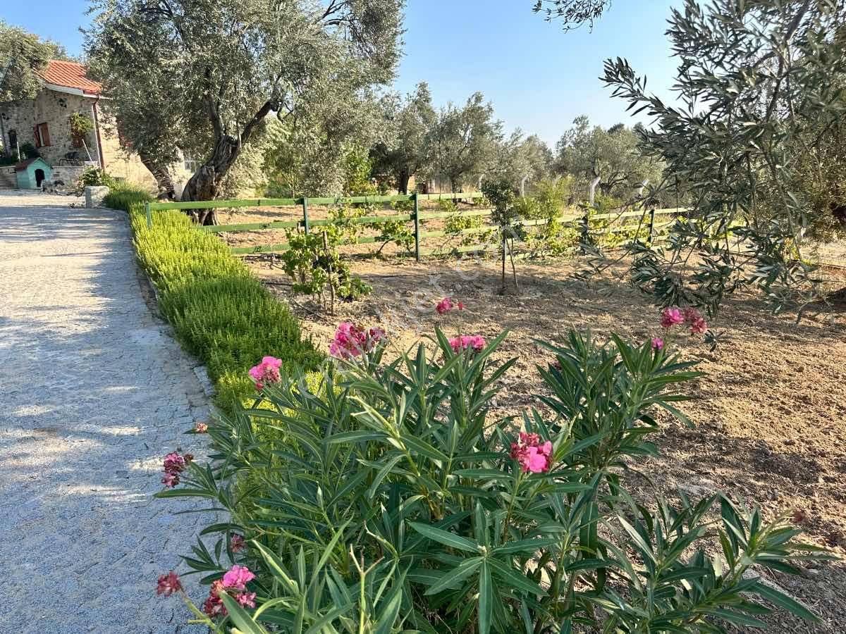 Satılık Komple Çıftlık Genış Ve Yenı Bına, Vılla , Tıny House Ve Meyve Ağaçlı, Otel Ve Turızm Uygun - Görsel 5