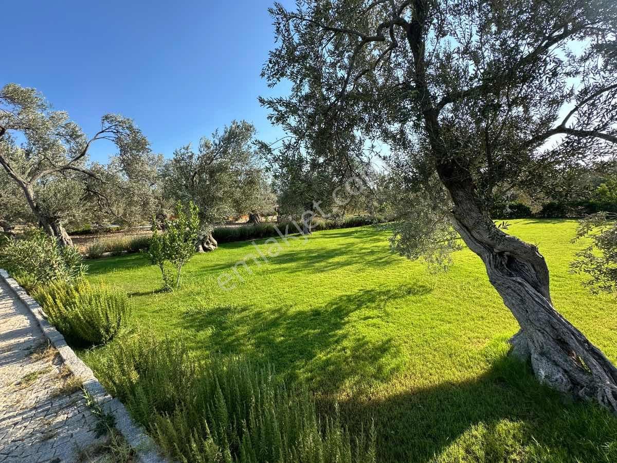 Satılık Komple Çıftlık Genış Ve Yenı Bına, Vılla , Tıny House Ve Meyve Ağaçlı, Otel Ve Turızm Uygun - Görsel 7