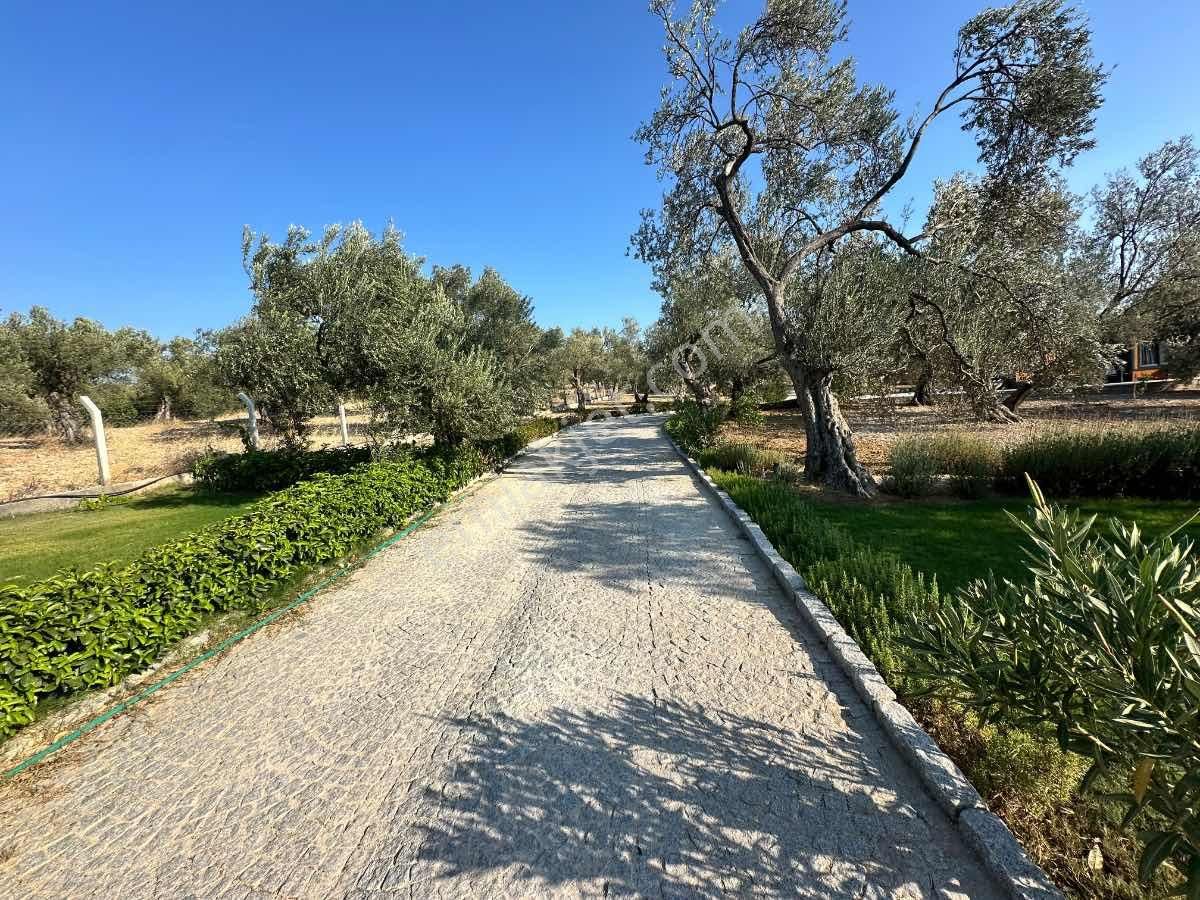 Satılık Komple Çıftlık Genış Ve Yenı Bına, Vılla , Tıny House Ve Meyve Ağaçlı, Otel Ve Turızm Uygun - Görsel 10