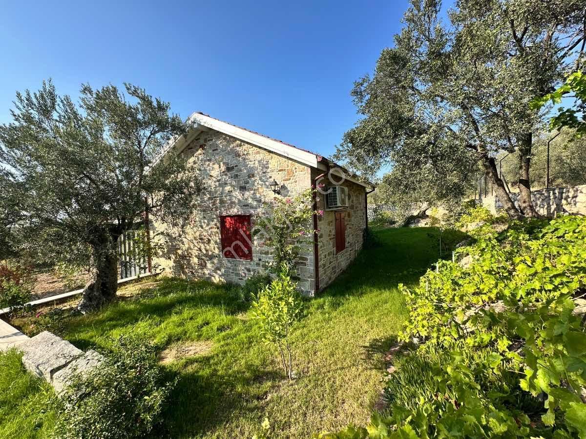 Satılık Komple Çıftlık Genış Ve Yenı Bına, Vılla , Tıny House Ve Meyve Ağaçlı, Otel Ve Turızm Uygun - Görsel 6