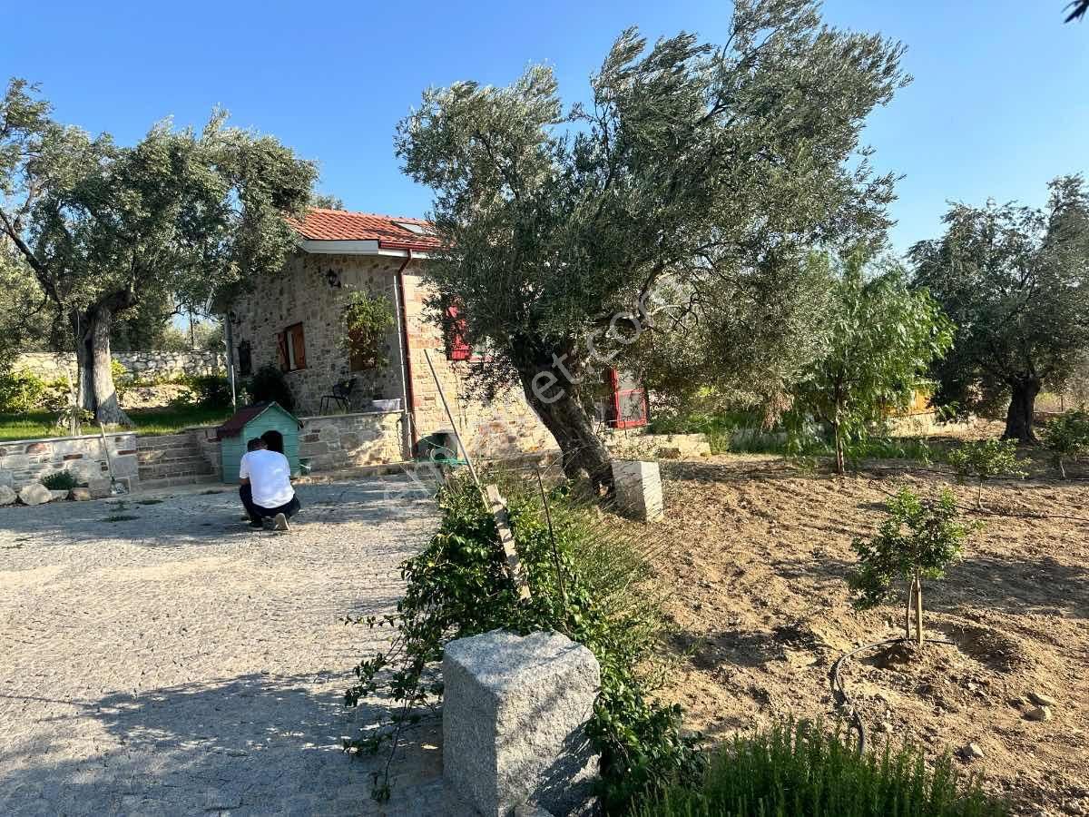 Satılık Komple Çıftlık Genış Ve Yenı Bına, Vılla , Tıny House Ve Meyve Ağaçlı, Otel Ve Turızm Uygun - Görsel 18