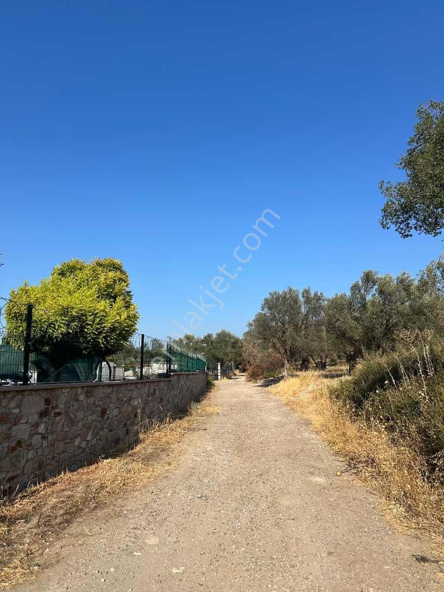 Satılık Komple Çıftlık Genış Ve Yenı Bına, Vılla , Tıny House Ve Meyve Ağaçlı, Otel Ve Turızm Uygun - Görsel 23