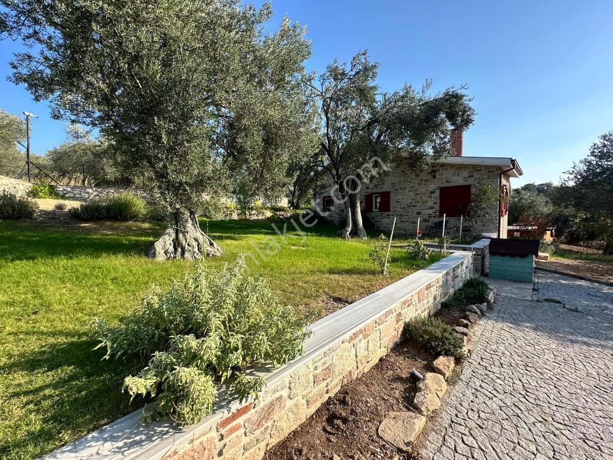 Satılık Komple Çıftlık Genış Ve Yenı Bına, Vılla , Tıny House Ve Meyve Ağaçlı, Otel Ve Turızm Uygun - Görsel 3