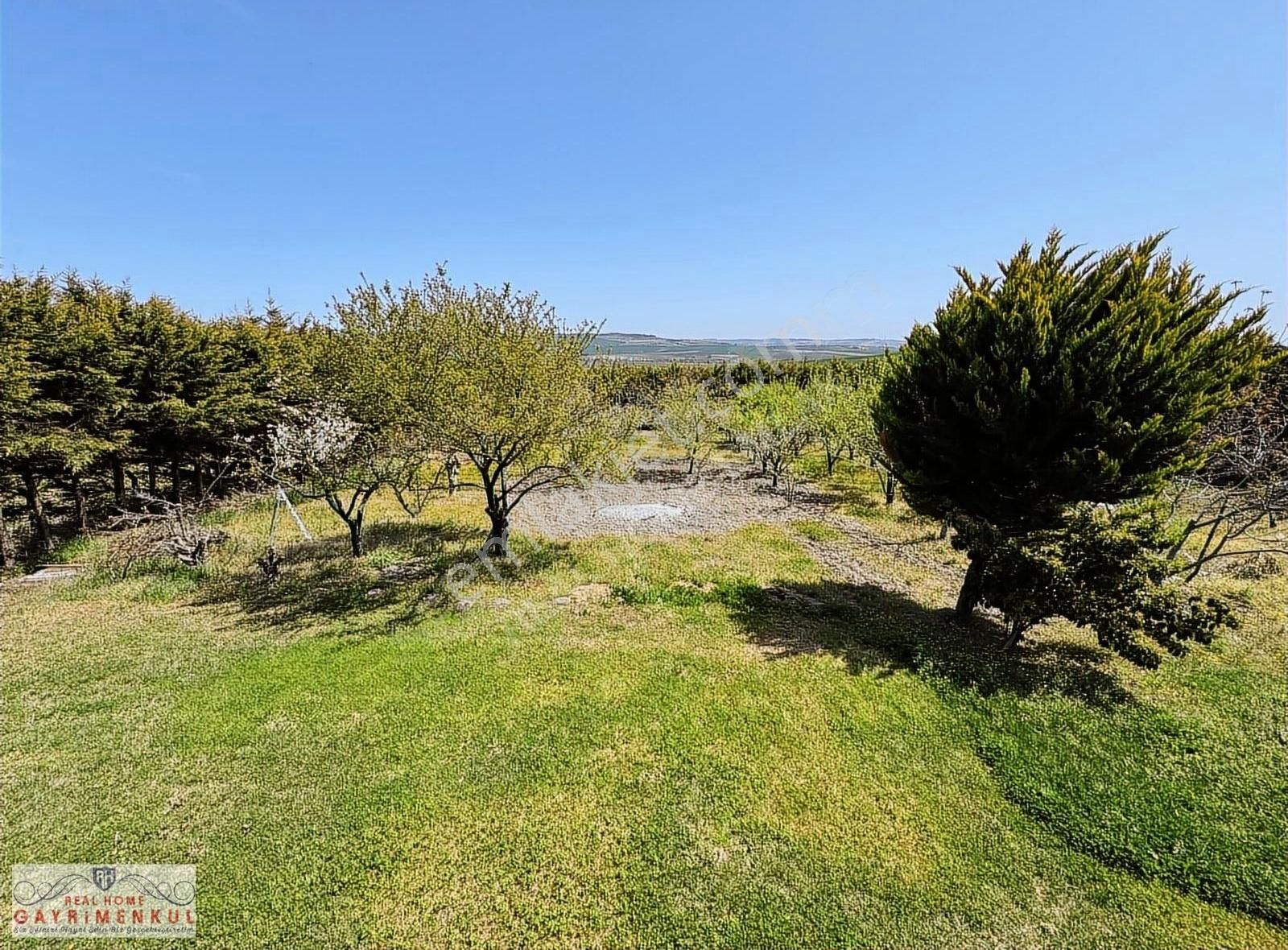 Çatalca Kestanelik'te 5.867 M2 Arsa İçinde Havuzlu Villa !! - Görsel 23