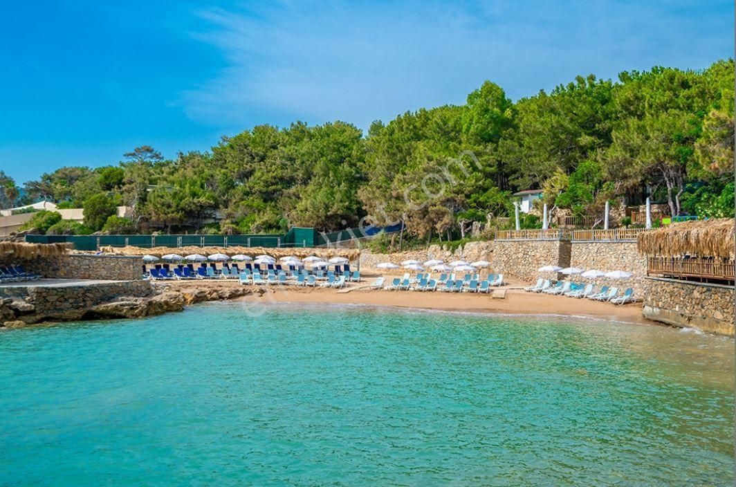 Modern Saraylar Luxury Hotel Helal Belgeli 3/17eylül Satılık Devremülk 1+1 - Görsel 2