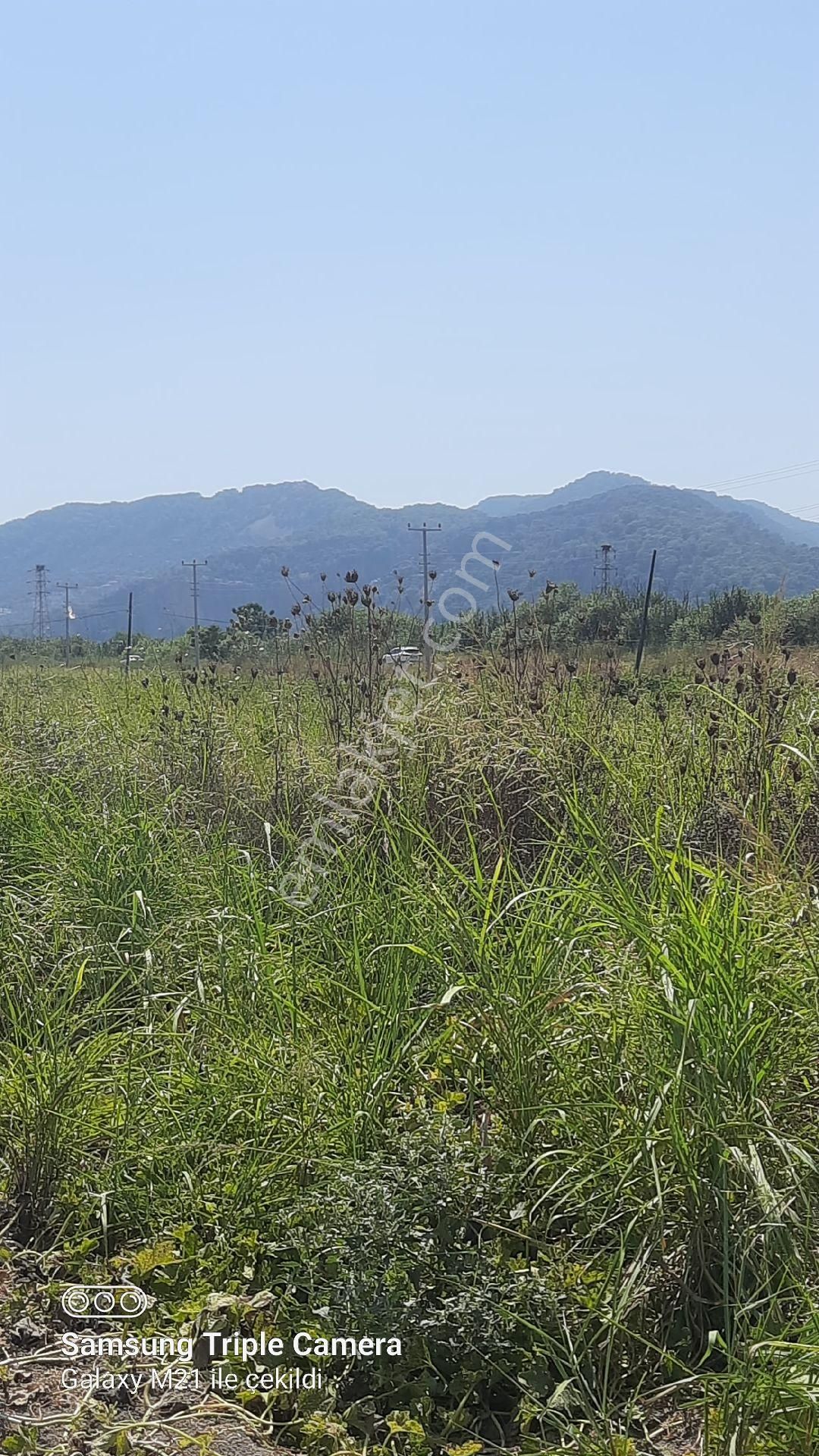 Sarıgerme'ye 4 Km Kupon Yer - Görsel 3