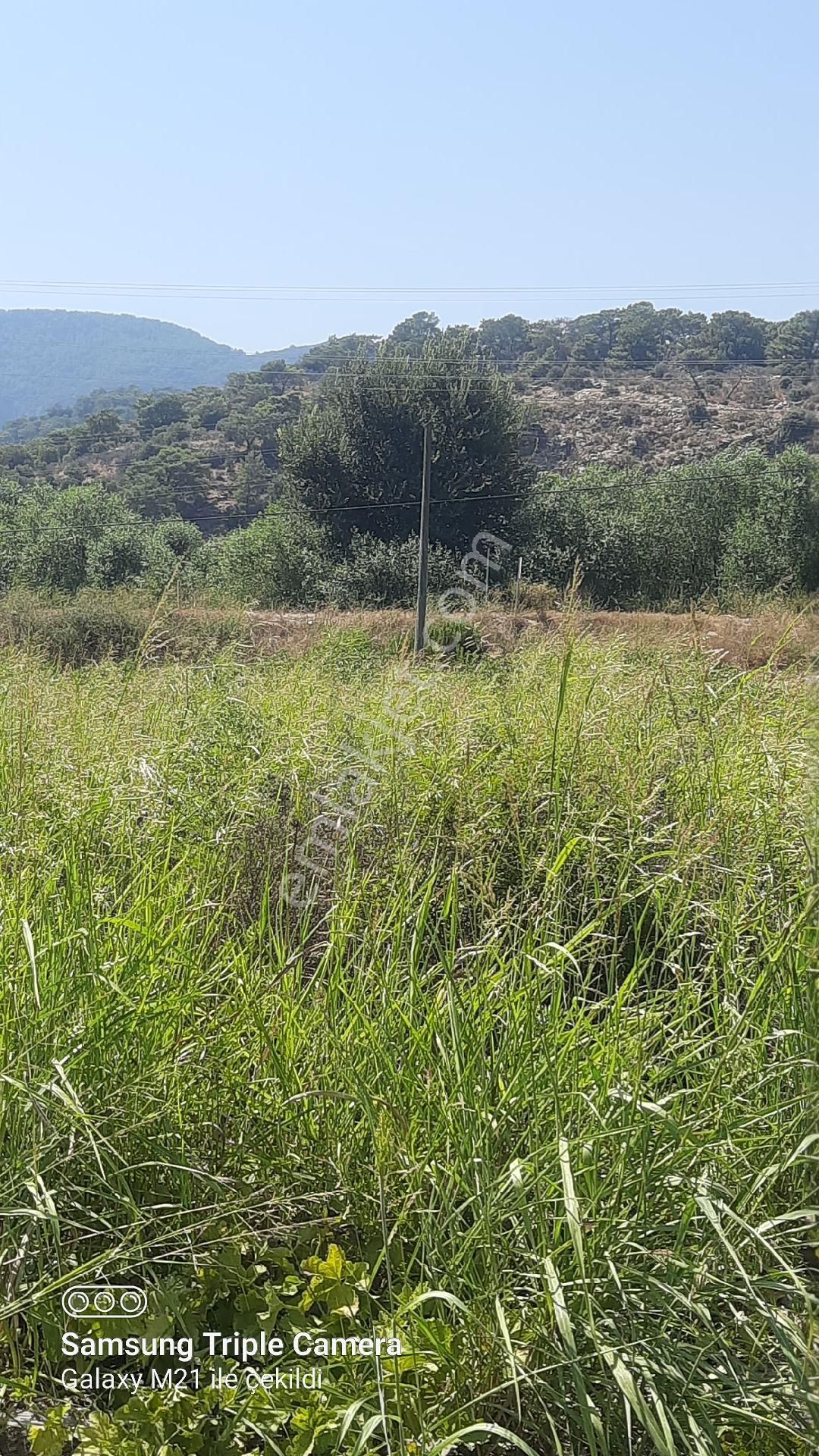 Sarıgerme'ye 4 Km Kupon Yer - Görsel 2