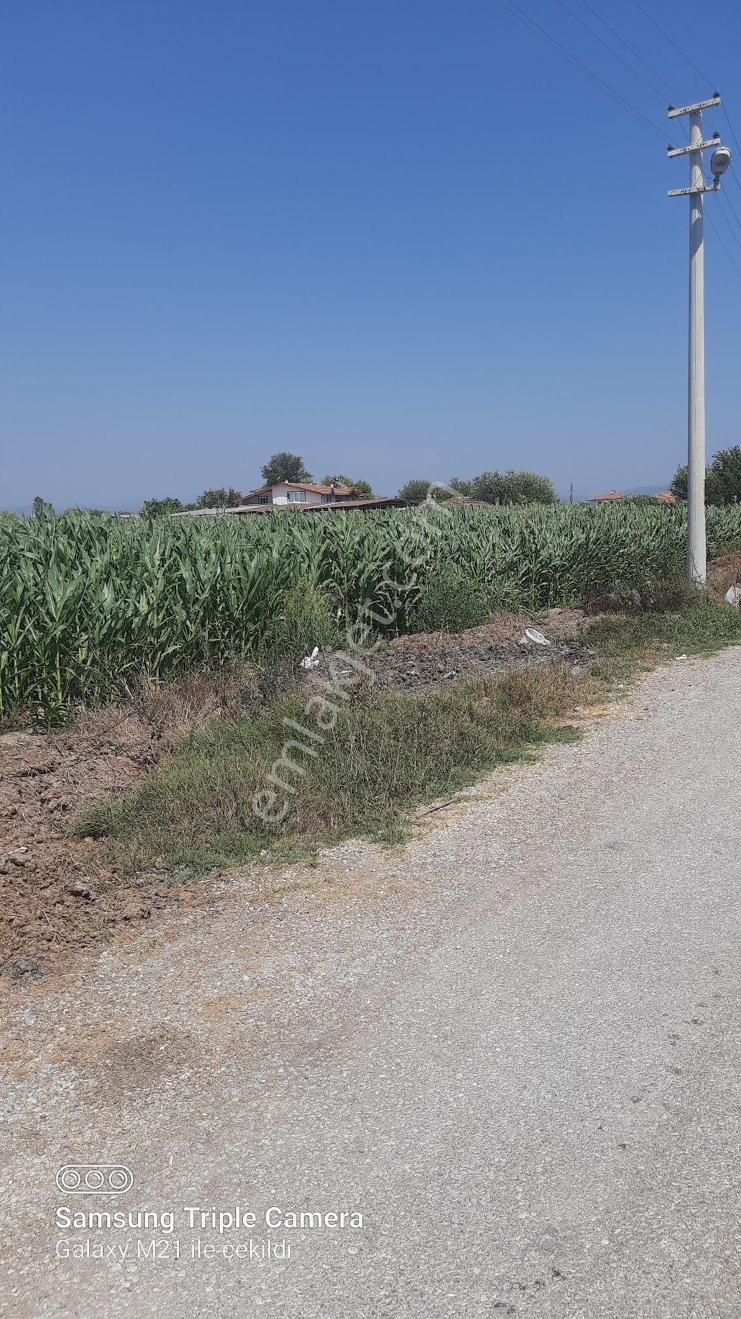 Sarıgerme'ye 4 Km Kupon Yer - Görsel 9