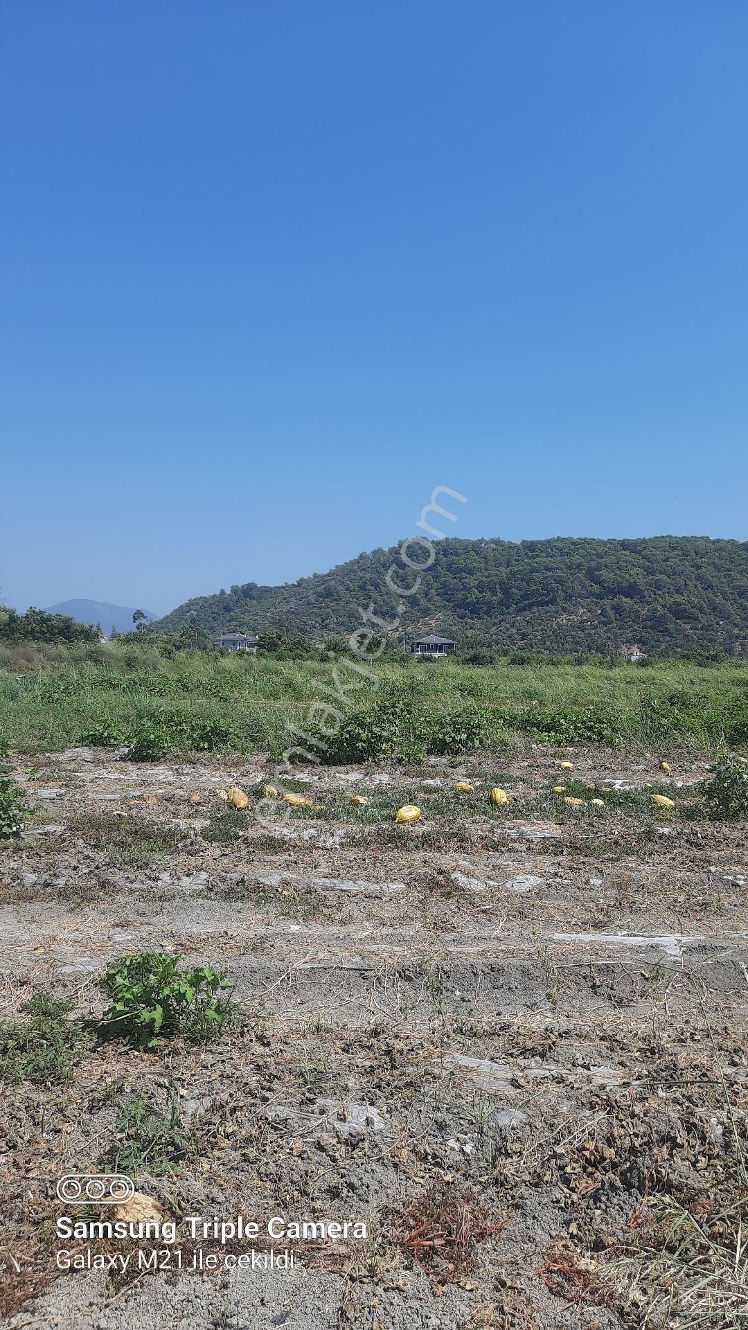 Sarıgerme'ye 4 Km Kupon Yer - Görsel 12