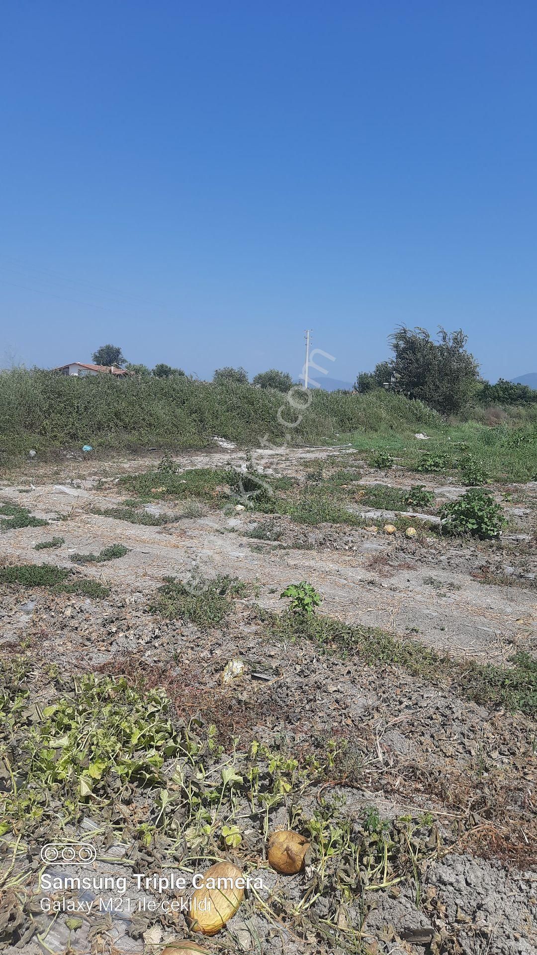 Sarıgerme'ye 4 Km Kupon Yer - Görsel 15