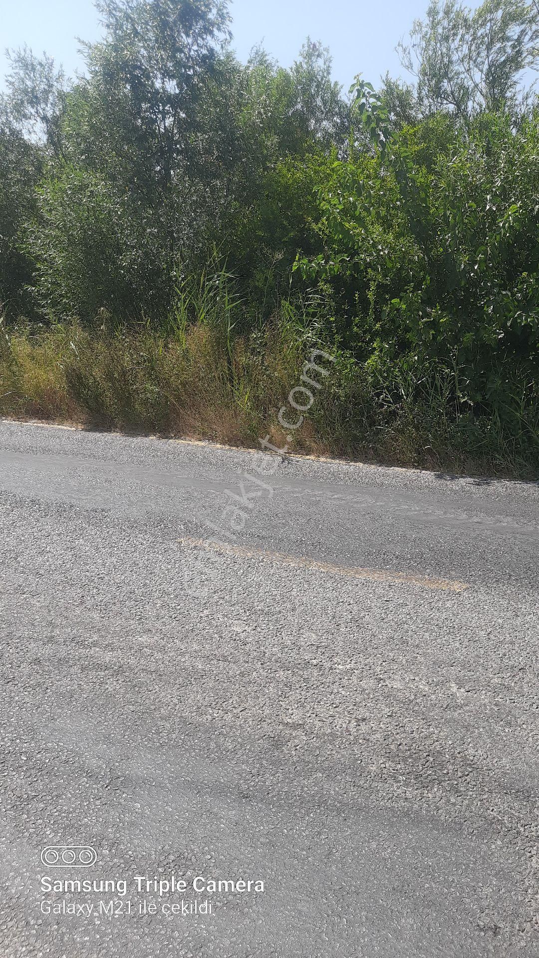 Sarıgerme'ye 4 Km Kupon Yer - Görsel 16