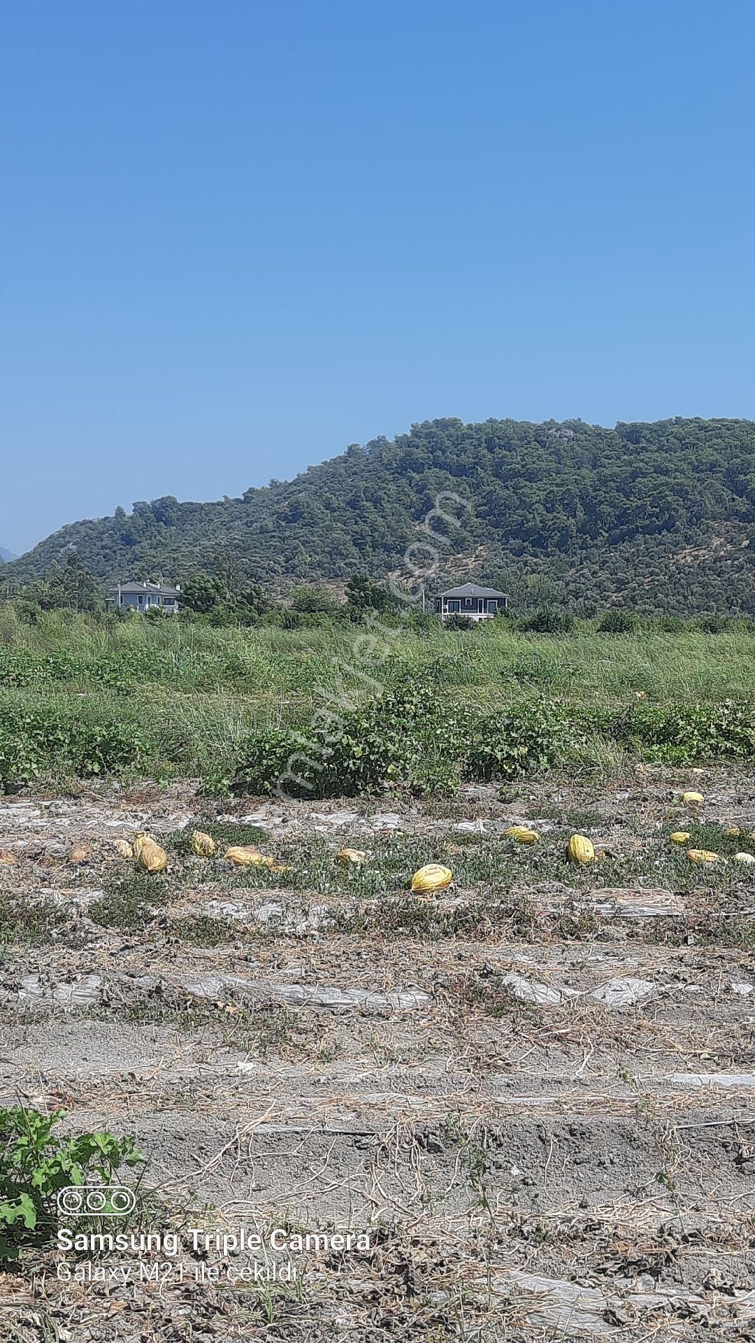 Sarıgerme'ye 4 Km Kupon Yer - Görsel 13