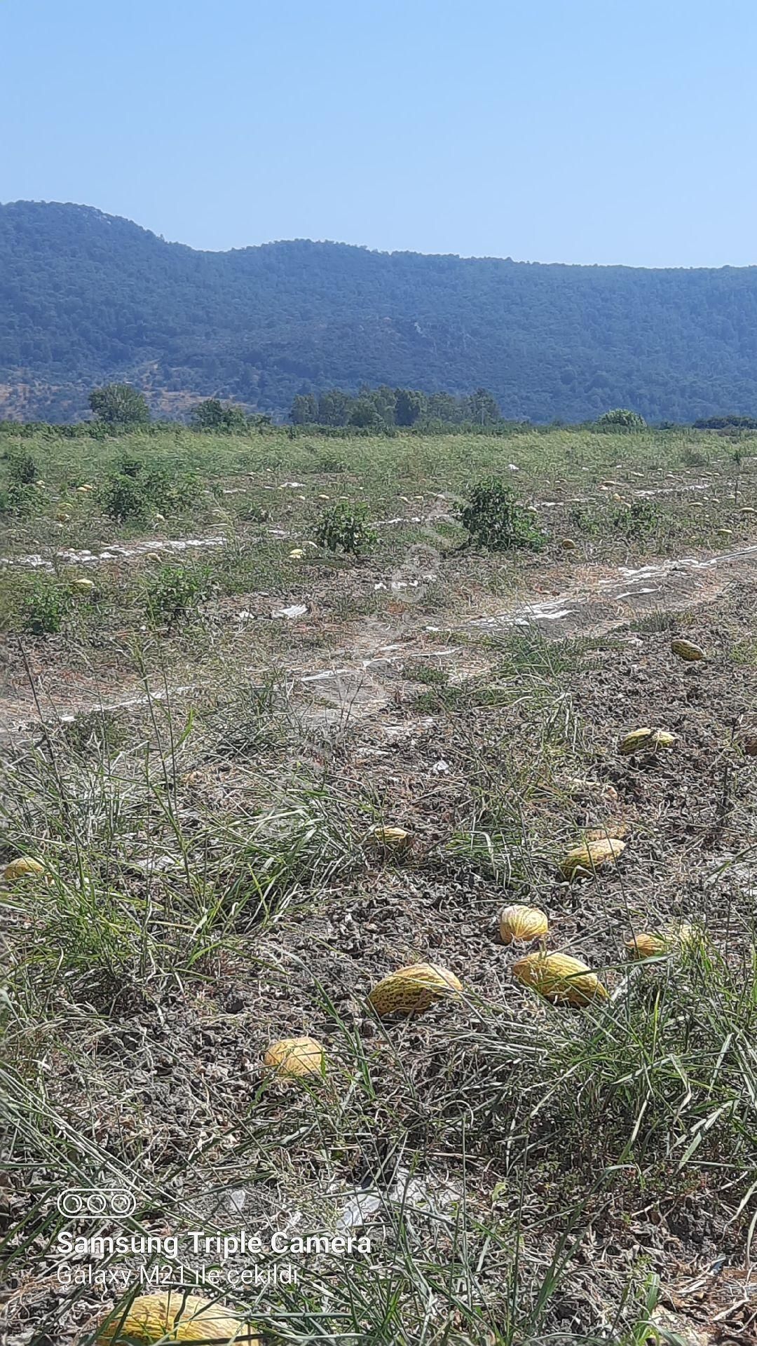 Sarıgerme'ye 4 Km Kupon Yer - Görsel 11