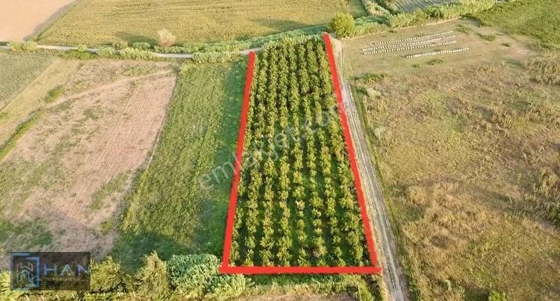 Han Gayrimenkul'den Satılık Nar Bahçesi Köşe Parsel / 3.621 M² - Görsel 7