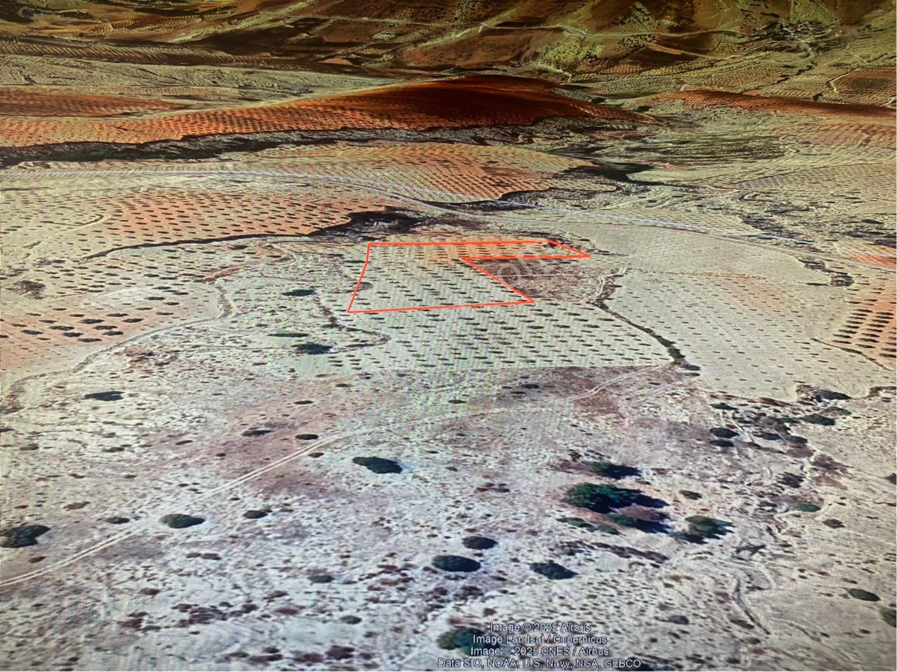 G.antep / Ş. Bey / Morcalı Dav,9.900m Tonluk Zeytin Ve Fıstık Bahçesi İhtiyaçtan Çok Uygun Fiyata Sa - Görsel 16