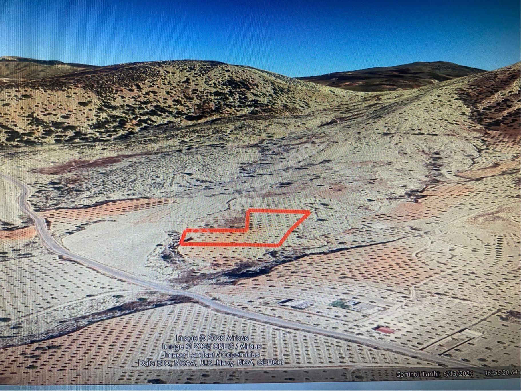 G.antep / Ş. Bey / Morcalı Dav,9.900m Tonluk Zeytin Ve Fıstık Bahçesi İhtiyaçtan Çok Uygun Fiyata Sa - Görsel 12