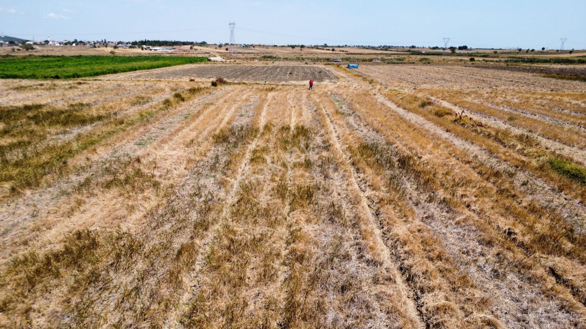 Biga Ağaköy'de 2685 M2 Tarlamız Satılıktır Han Emlak Otomotiv - Görsel 14