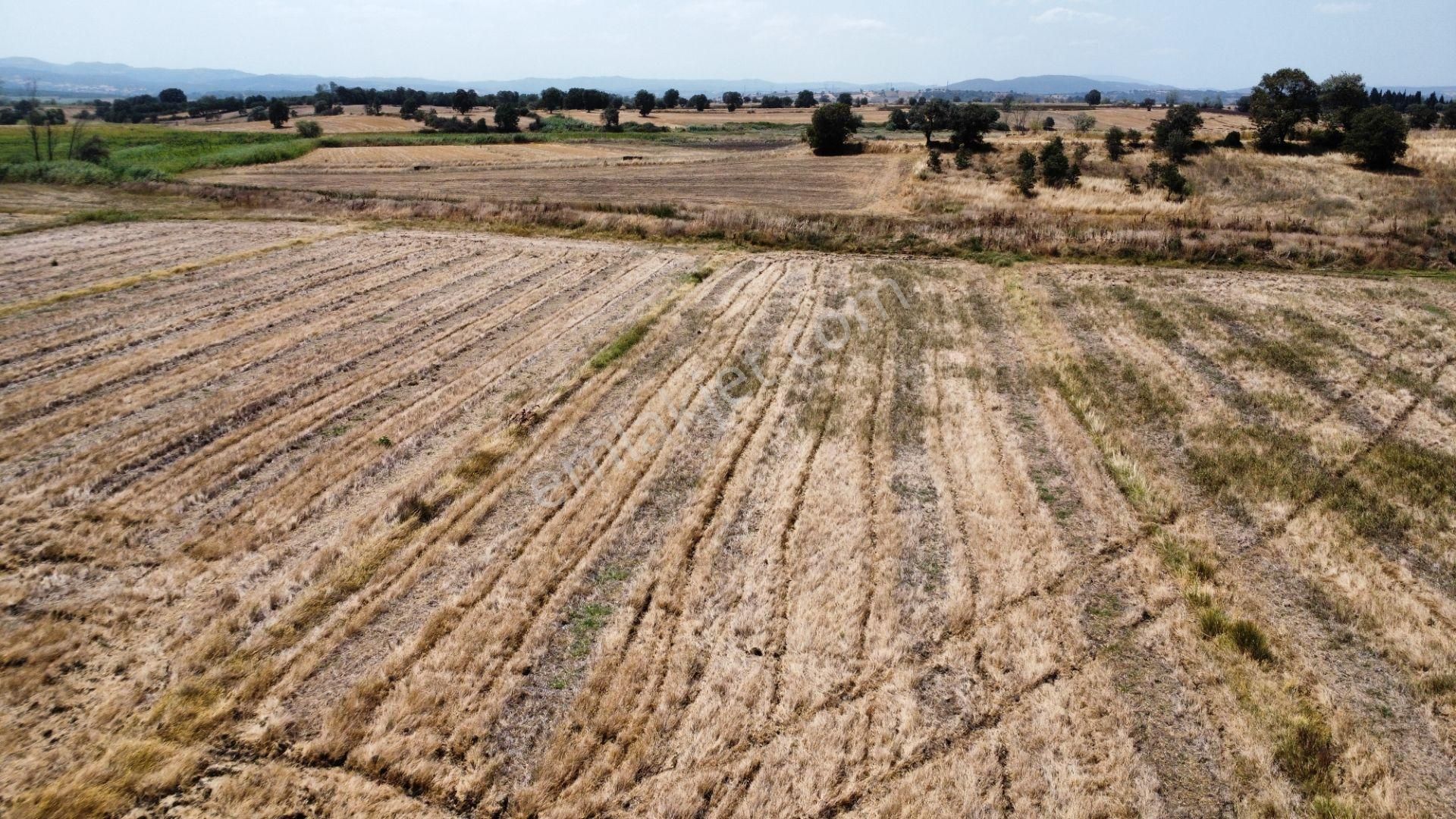 Biga Ağaköy'de 2685 M2 Tarlamız Satılıktır Han Emlak Otomotiv - Görsel 6