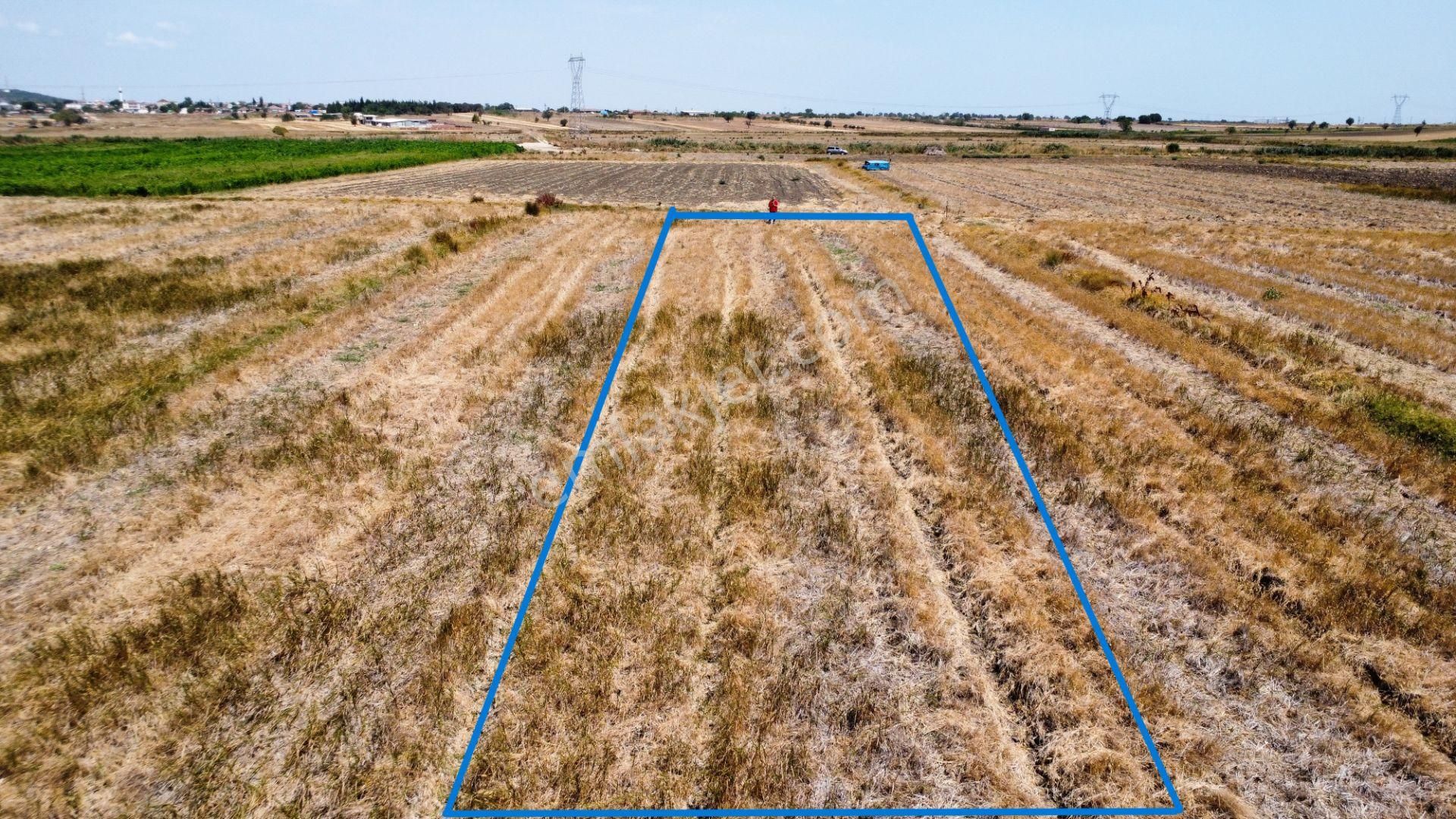 Biga Ağaköy'de 2685 M2 Tarlamız Satılıktır Han Emlak Otomotiv - Görsel 20