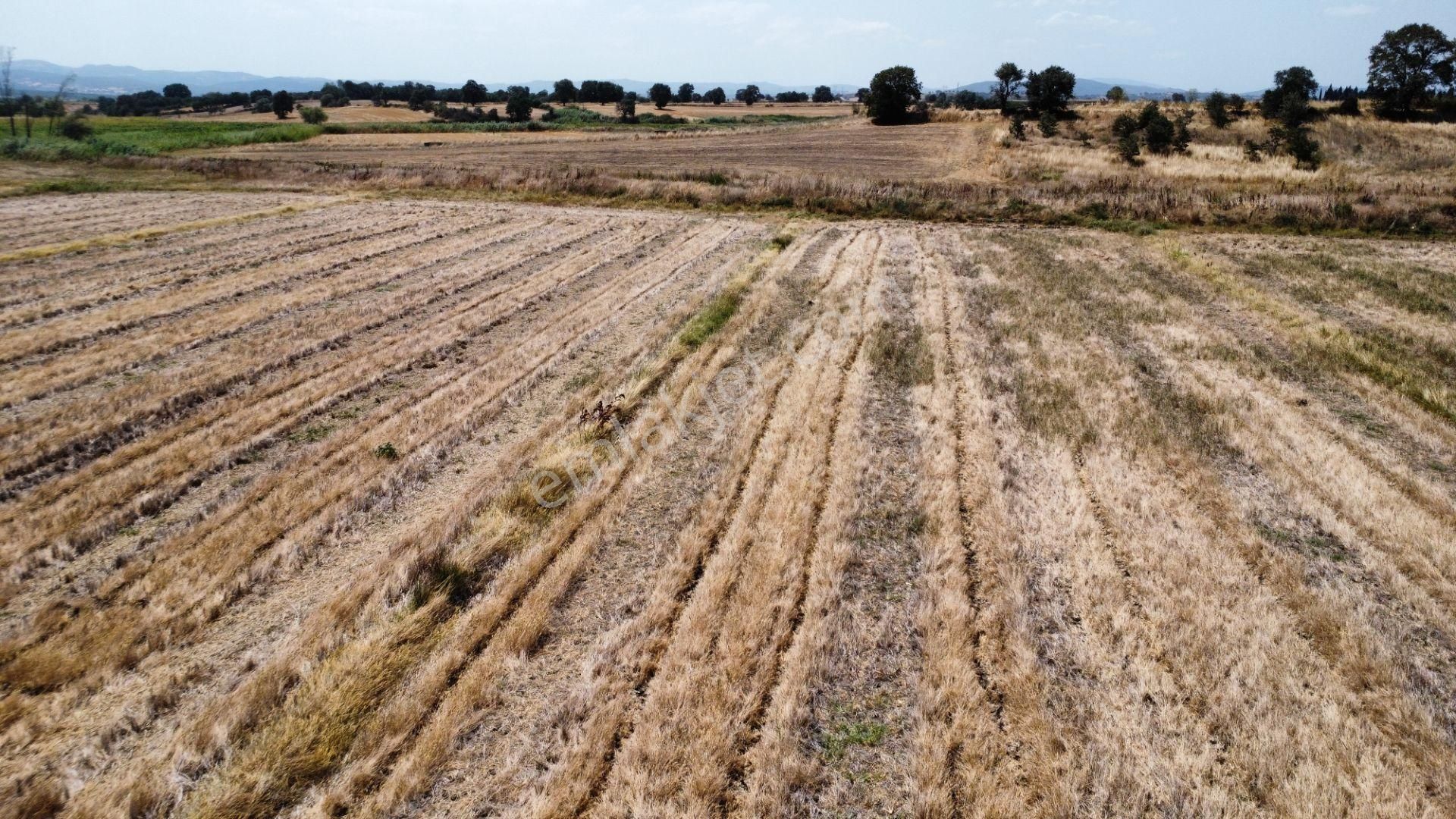 Biga Ağaköy'de 2685 M2 Tarlamız Satılıktır Han Emlak Otomotiv - Görsel 5