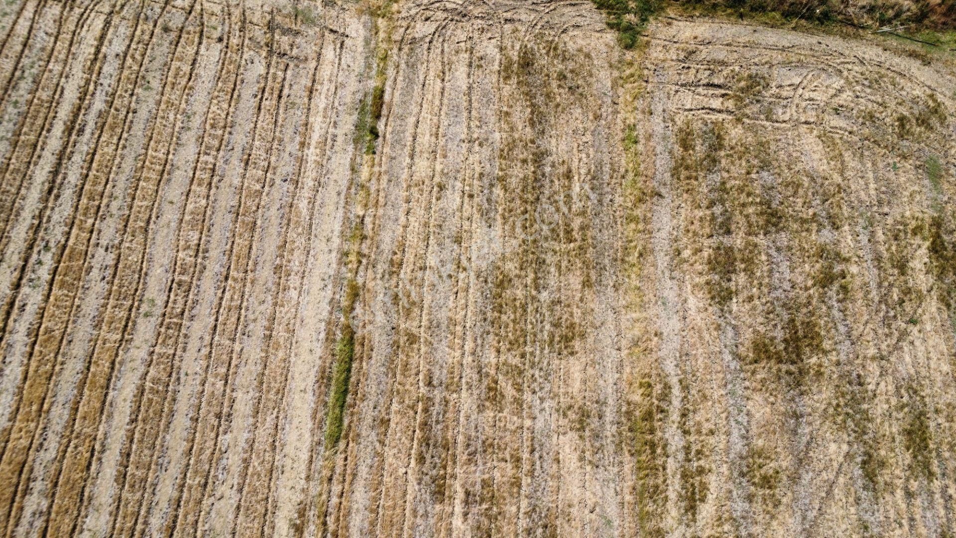 Biga Ağaköy'de 2685 M2 Tarlamız Satılıktır Han Emlak Otomotiv - Görsel 12