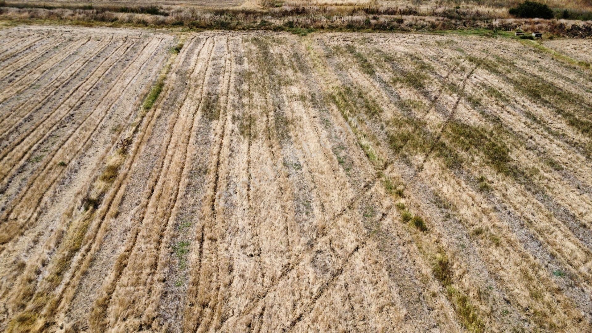 Biga Ağaköy'de 2685 M2 Tarlamız Satılıktır Han Emlak Otomotiv - Görsel 8