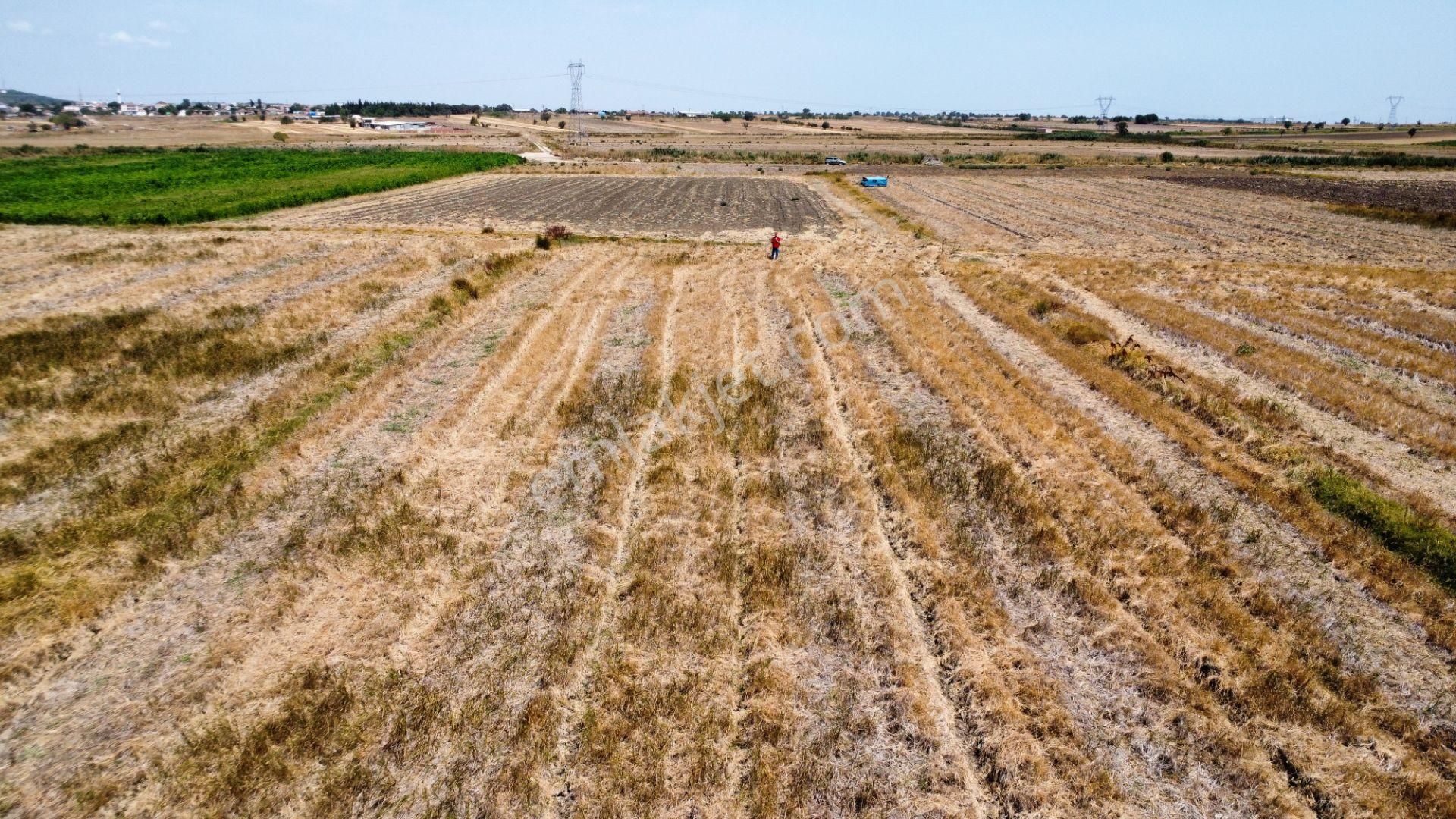 Biga Ağaköy'de 2685 M2 Tarlamız Satılıktır Han Emlak Otomotiv - Görsel 16
