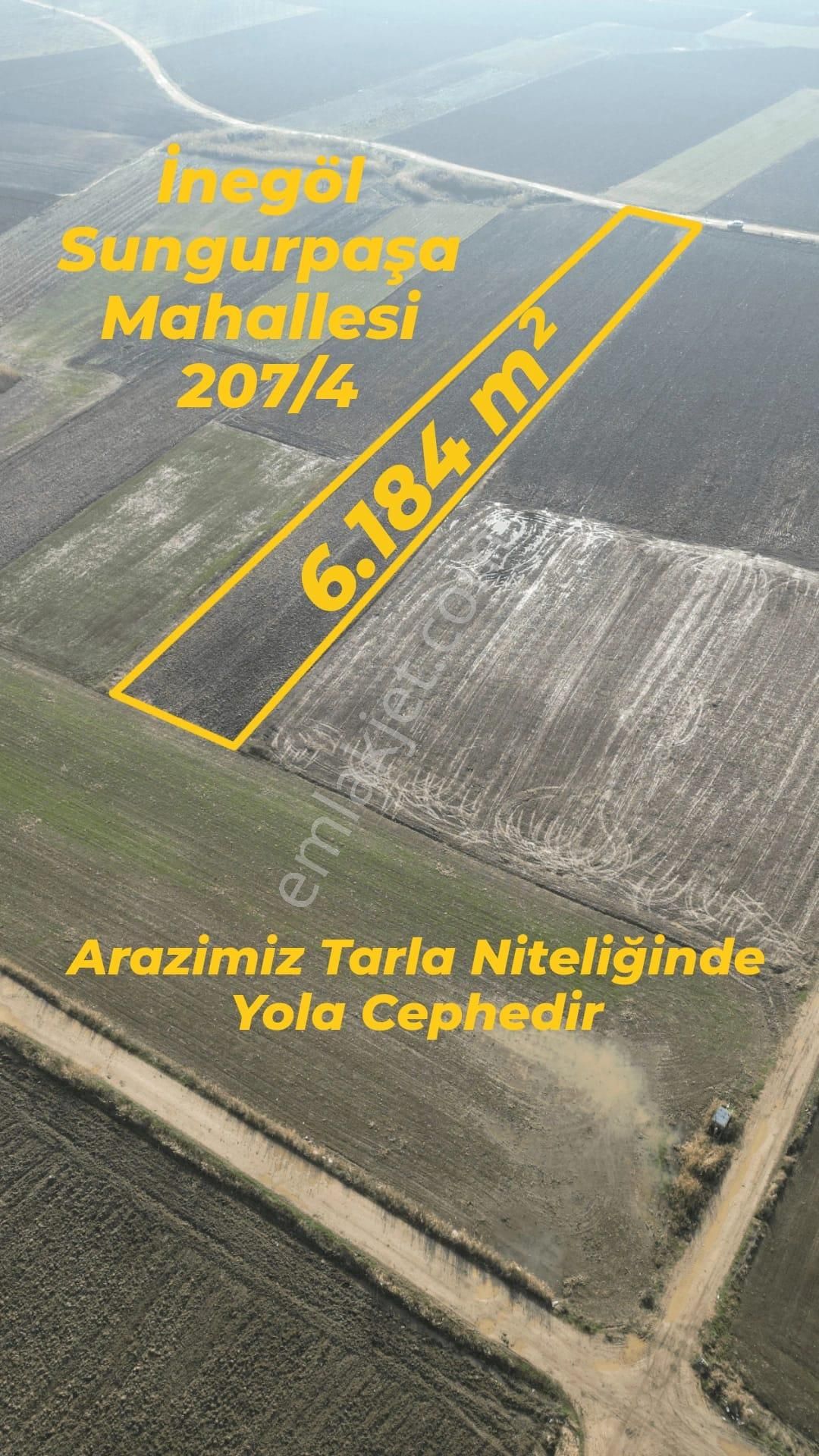 Bursa İnegöl Sungurpaşa Mahallesi Satılık Tarla -yatırım Fırsatı - Görsel 3