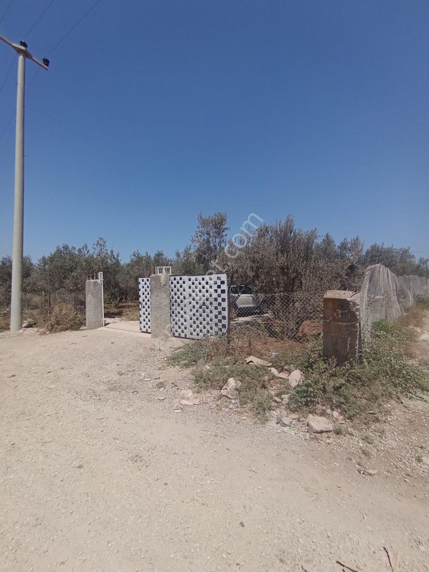 Ailenizle Hem Şehir Hem Köy Hayatını Bir Arada Yaşaya Bileceginiz En Uygun Yer - Görsel 4