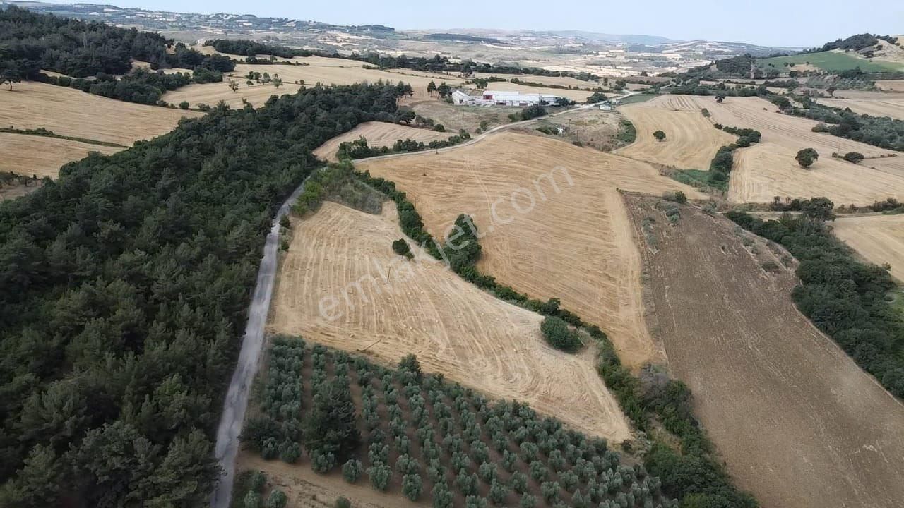 Çanakkale Lapseki Umurbey De Yola Cepheli 15 Dönüm Satılık Arazi - Görsel 14