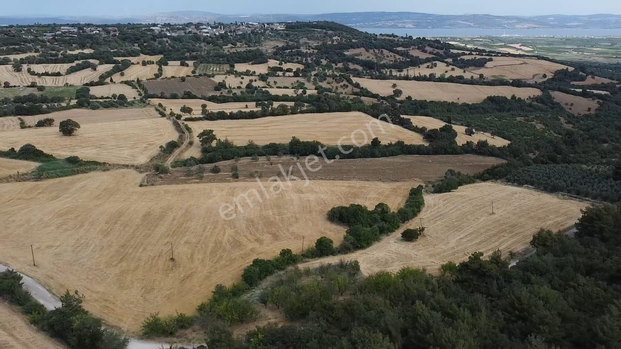 Çanakkale Lapseki Umurbey De Yola Cepheli 15 Dönüm Satılık Arazi - Görsel 6