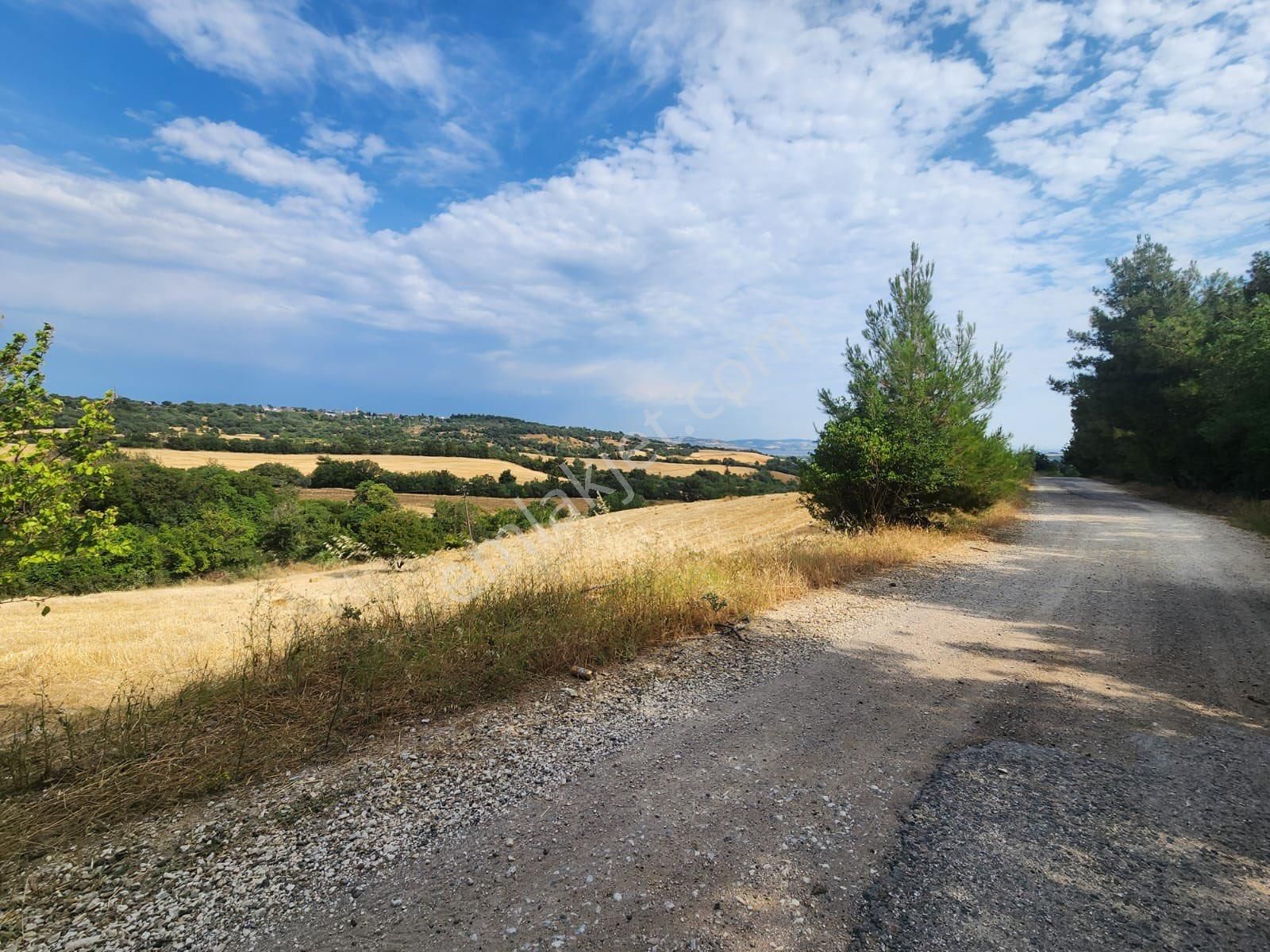 Çanakkale Lapseki Umurbey De Yola Cepheli 15 Dönüm Satılık Arazi - Görsel 22