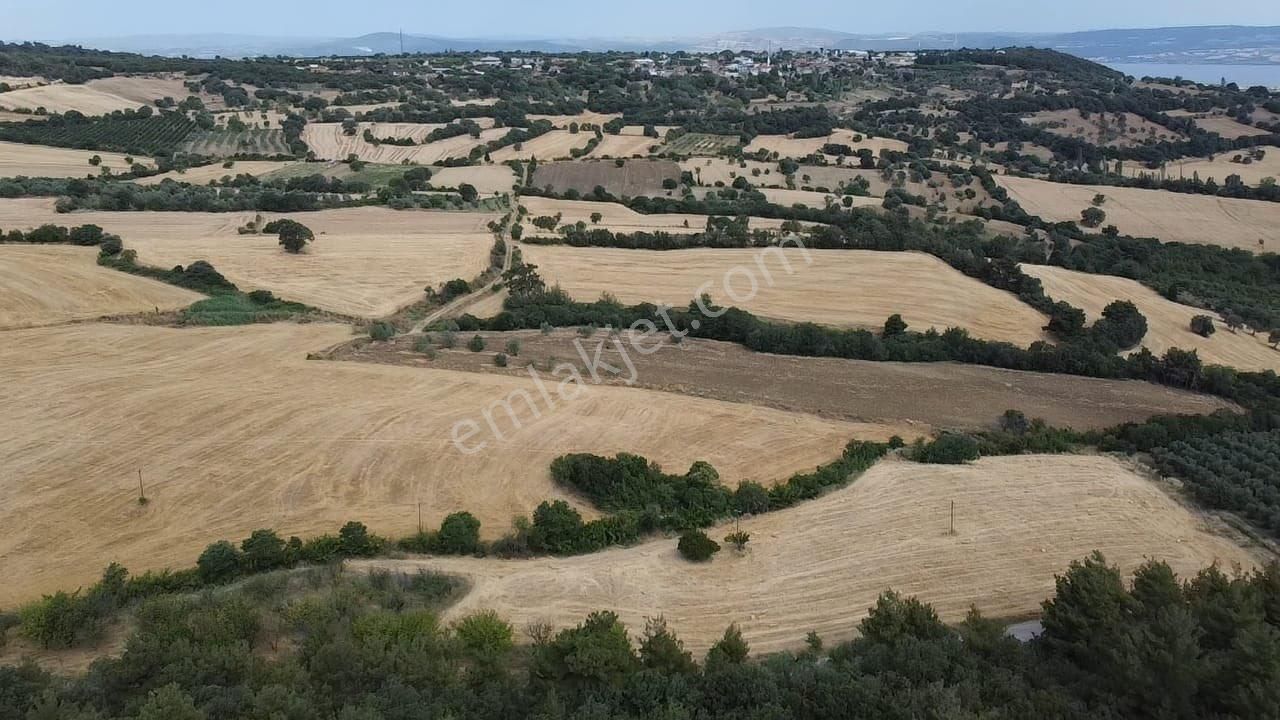 Çanakkale Lapseki Umurbey De Yola Cepheli 15 Dönüm Satılık Arazi - Görsel 8