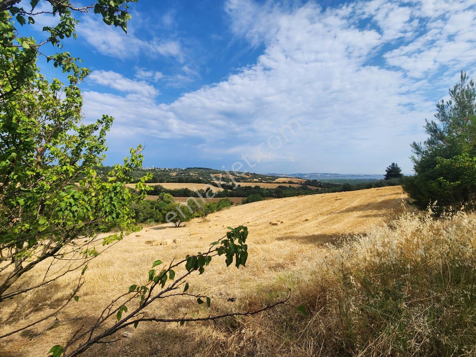 Çanakkale Lapseki Umurbey De Yola Cepheli 15 Dönüm Satılık Arazi - Görsel 25