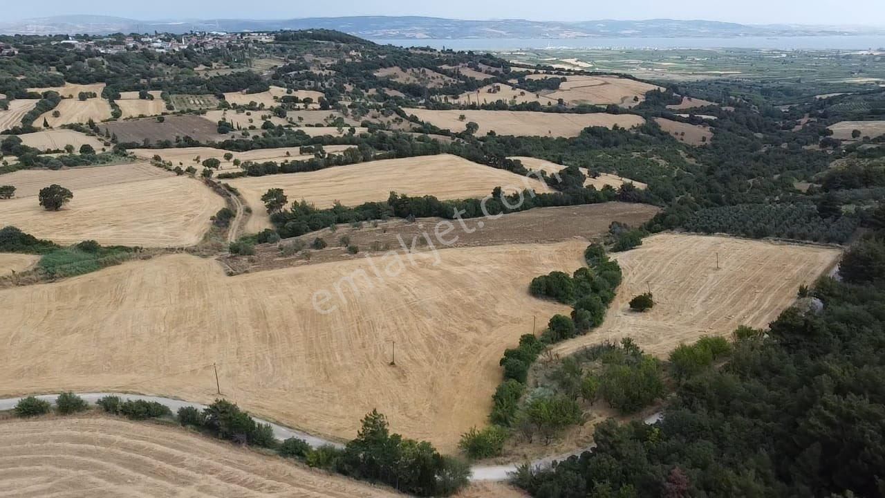 Çanakkale Lapseki Umurbey De Yola Cepheli 15 Dönüm Satılık Arazi - Görsel 5