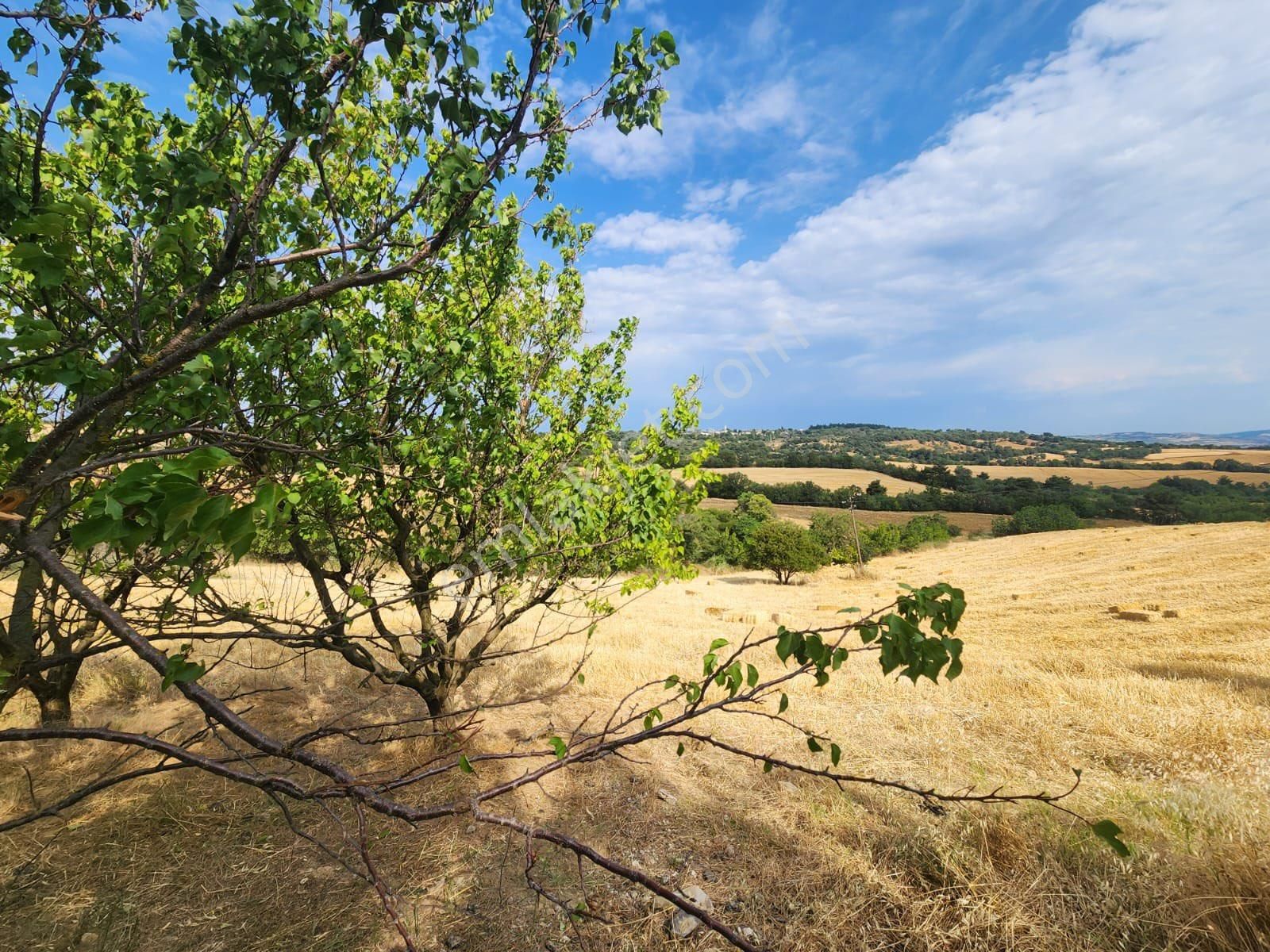Çanakkale Lapseki Umurbey De Yola Cepheli 15 Dönüm Satılık Arazi - Görsel 24