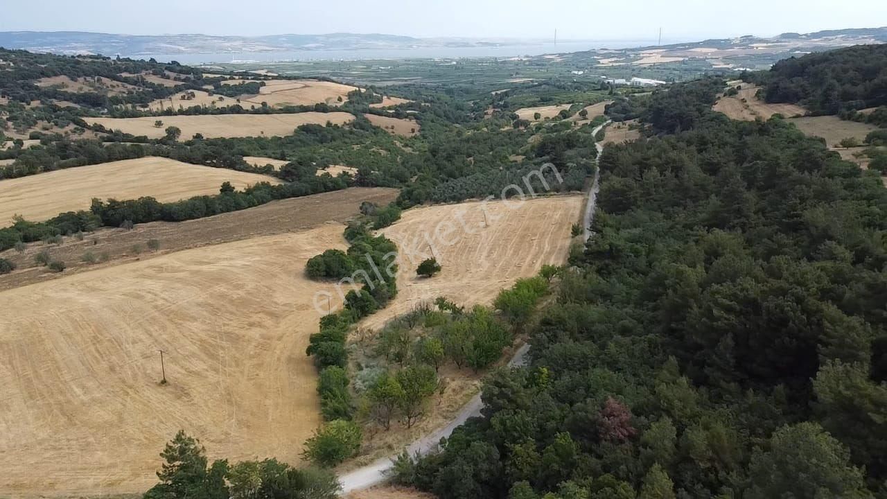 Çanakkale Lapseki Umurbey De Yola Cepheli 15 Dönüm Satılık Arazi - Görsel 21