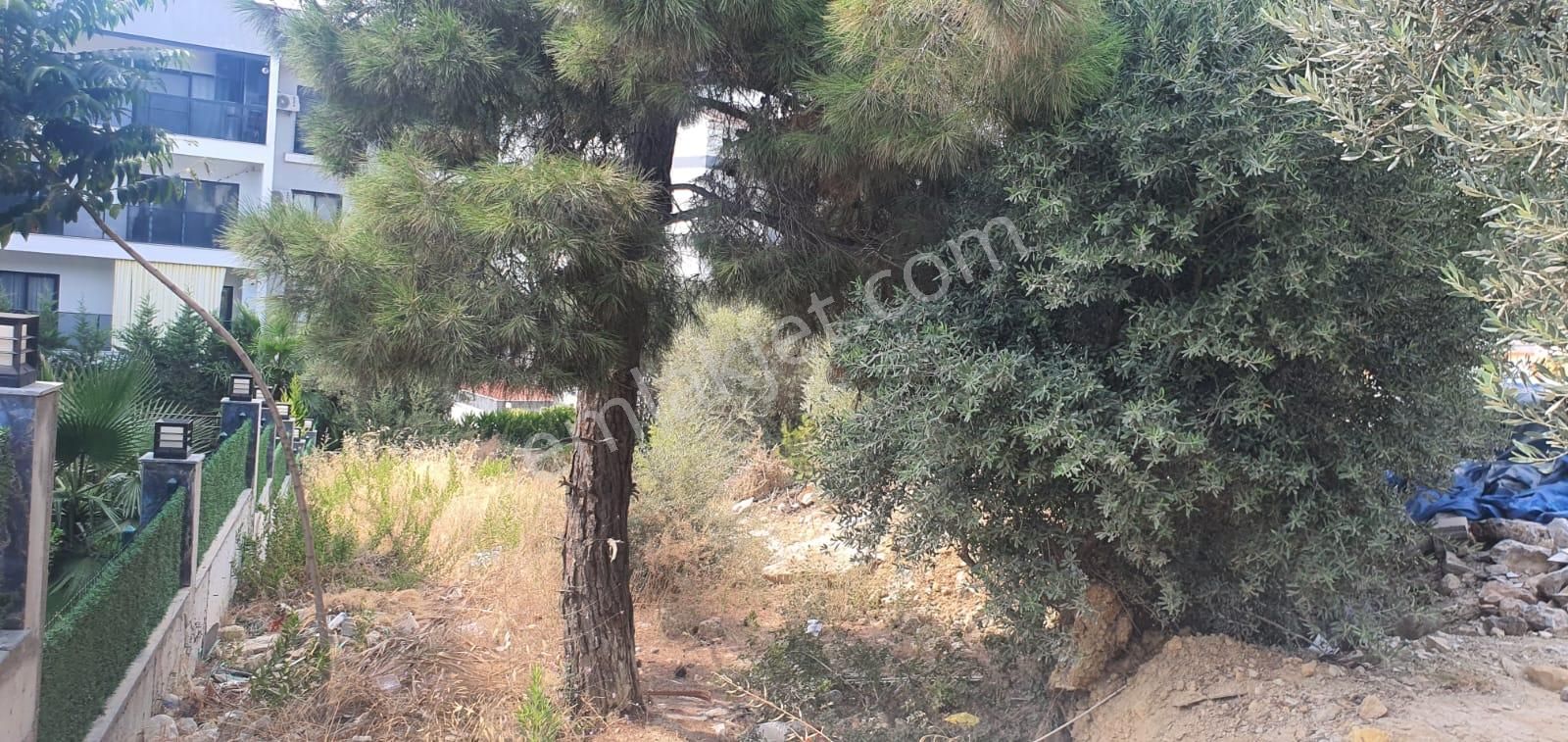 Kuşadası Ege Mahallesi'nde Satılık Arsa - Görsel 9