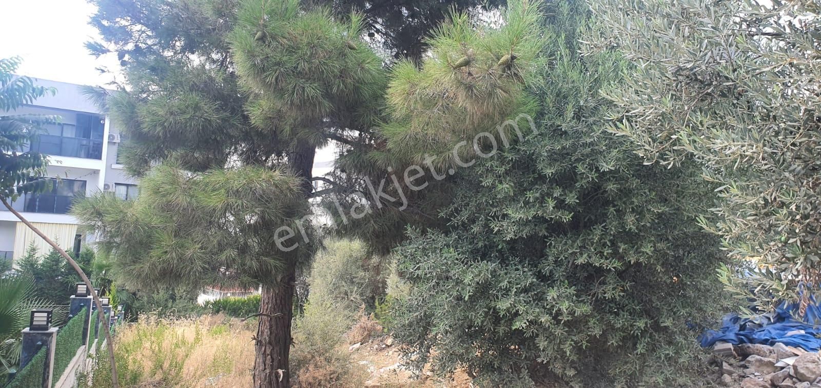 Kuşadası Ege Mahallesi'nde Satılık Arsa - Görsel 7