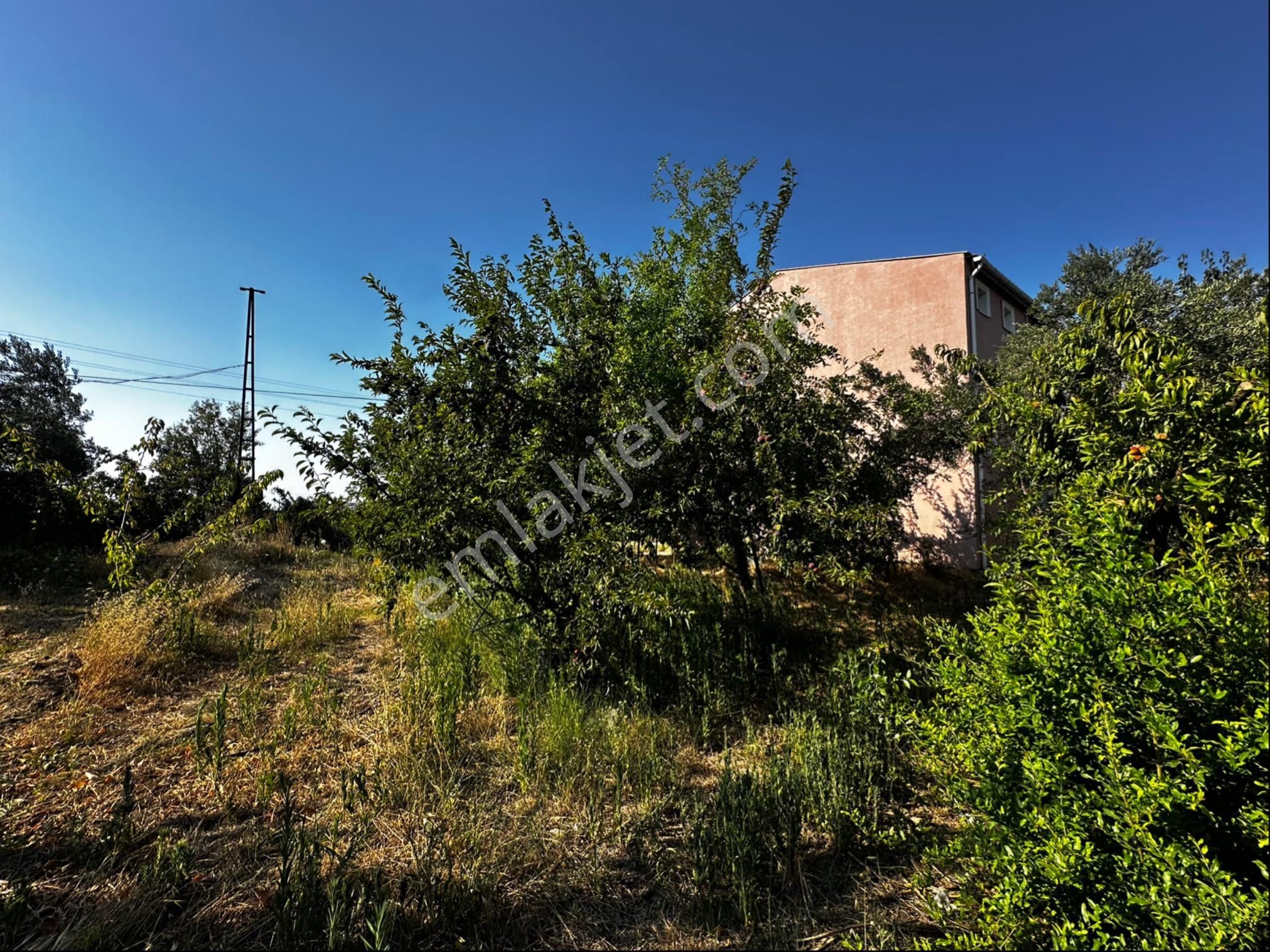 Çanakkale Lapseki Çardak Da Satılık İmarlı Arsa - Görsel 4